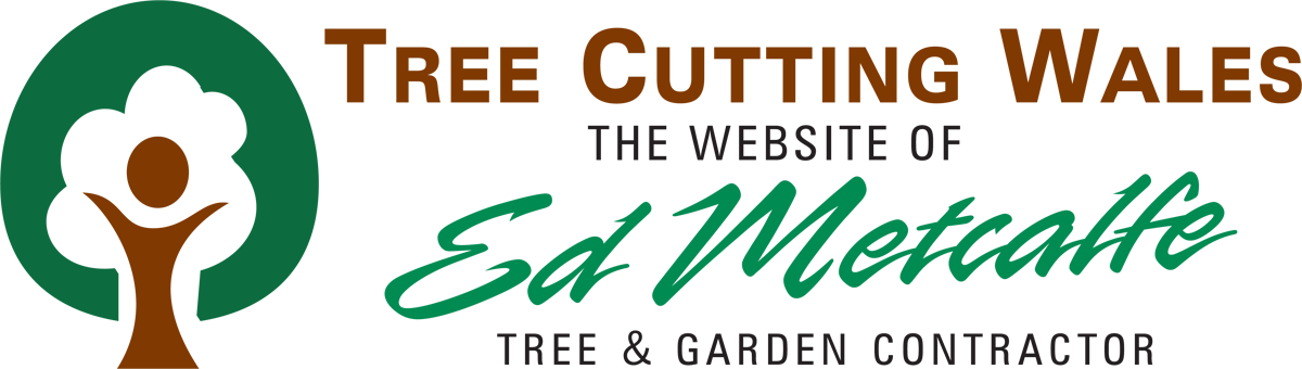 Tree Cutting Wales - Tree Surgeon