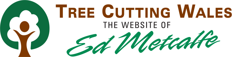 Tree Cutting Wales - Tree Surgeon