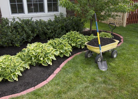 Garden Maintenance