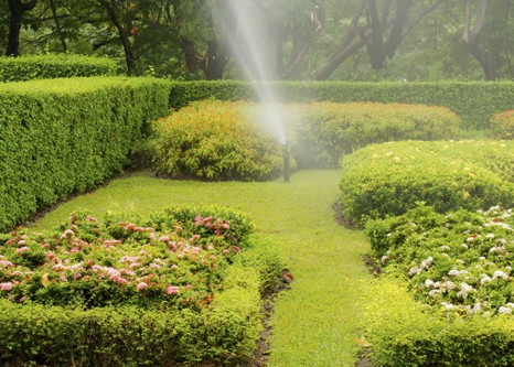 Garden Maintenance
